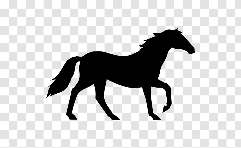 Tennessee Walking Horse Equestrian Standing Collection Clip Art - Monochrome Photography - Wildlife Transparent PNG