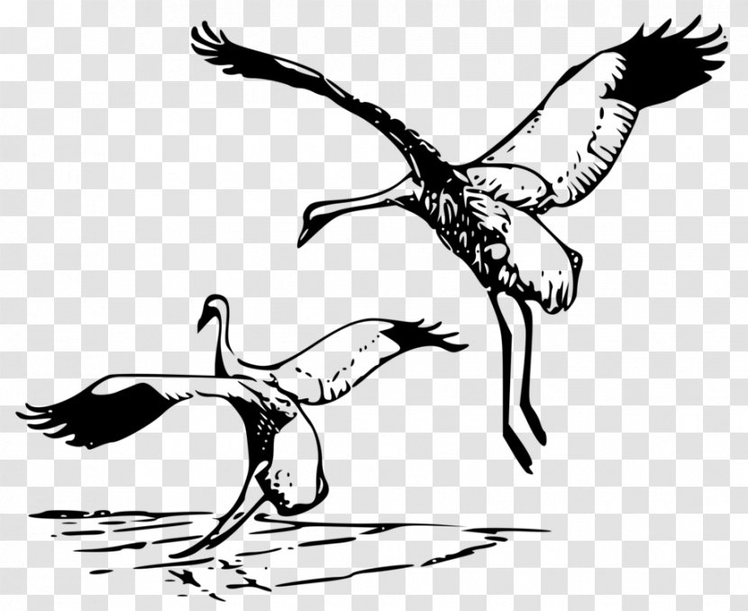 Whooping Crane Clip Art - Blackandwhite - Silhouette Transparent PNG