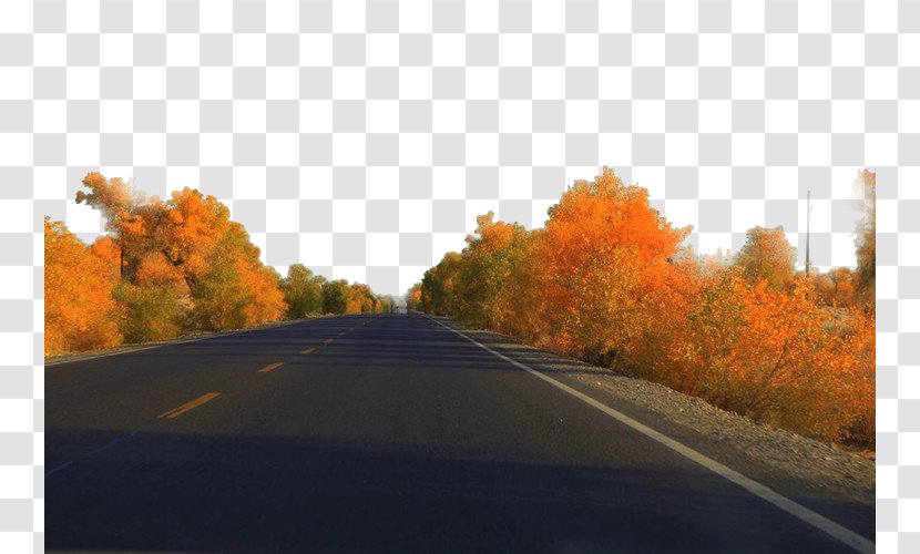 Highway Road Lane Computer File - Autumn - Desert,highway Transparent PNG