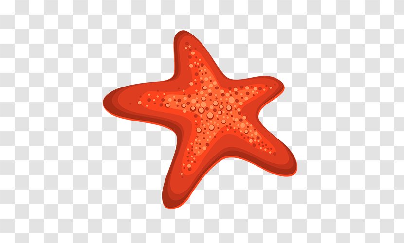 Starfish Download Clip Art - Data Transparent PNG