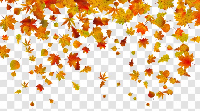 Autumn Leaf Color Clip Art - Yellow - Transparent Fall Leaves Clipart Image Transparent PNG