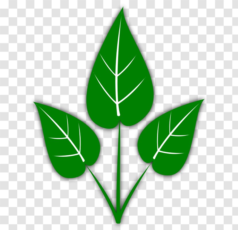 Leaf Free Content Clip Art - Grass - Green Clipart Transparent PNG