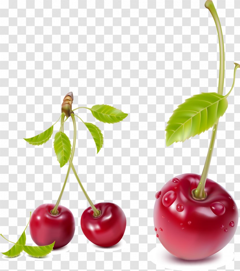 Cherry Fruit Clip Art - Natural Foods - Vector Transparent PNG