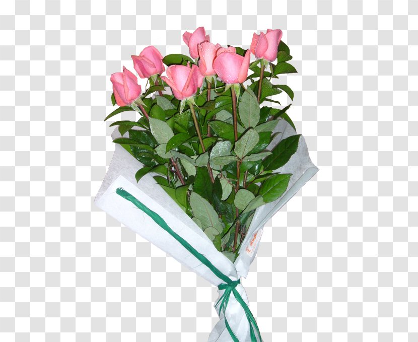 Garden Roses Cabbage Rose Floral Design Cut Flowers - Flowerpot - Flower Transparent PNG