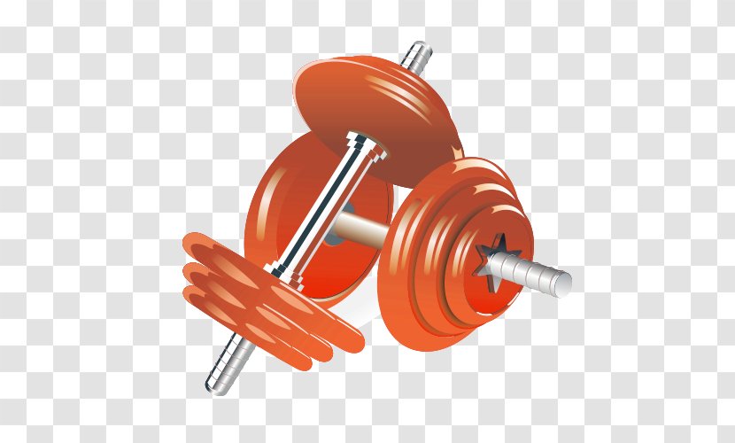 Dumbbell Physical Exercise Weight Training Illustration - Bodybuilding - Barbell Material Transparent PNG