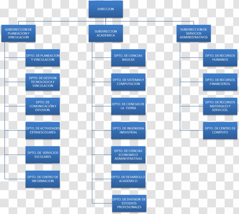 Basics Of Islam Six Kalimas Al-Ikhlas Bear - Tree Transparent PNG