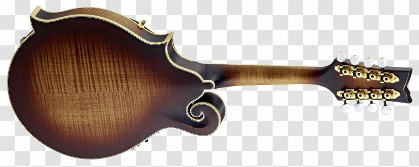 Acoustic-electric Guitar Mandolin Violin - Acoustic Transparent PNG