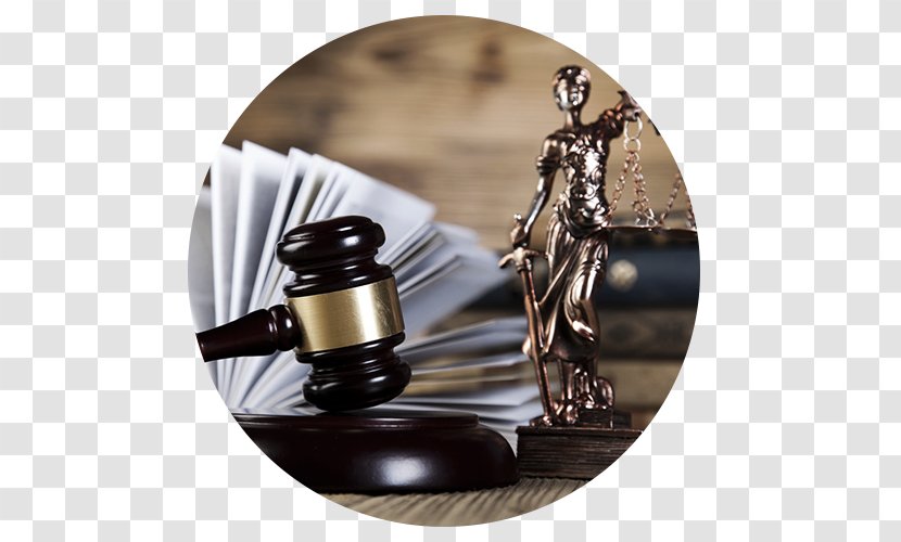 District Courts Of Russia Probable Cause Criminal Law Sentence - Appellate Court - Jim Lee Transparent PNG