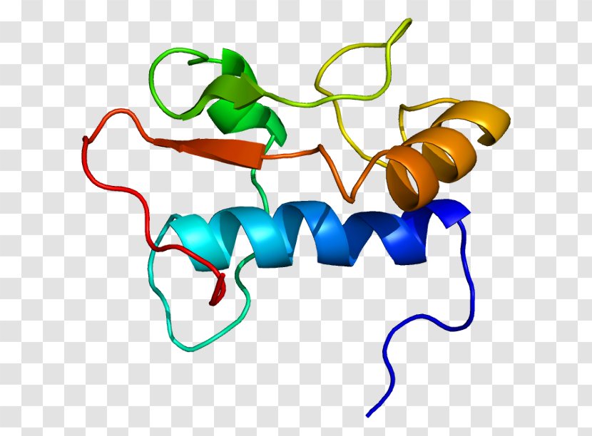 GTF2I General Transcription Factor Genome Protein - Organism - Ird Transparent PNG