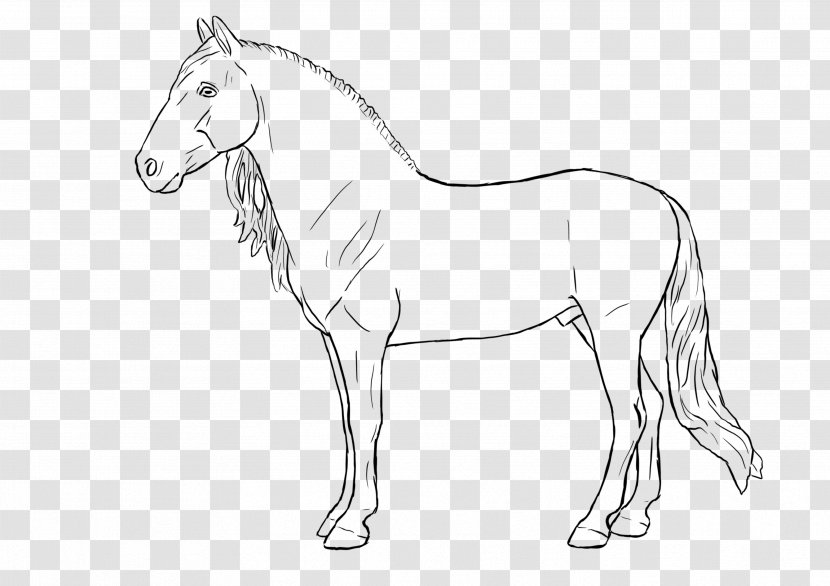 Mane Foal Bridle Mustang Stallion - Drawing Transparent PNG