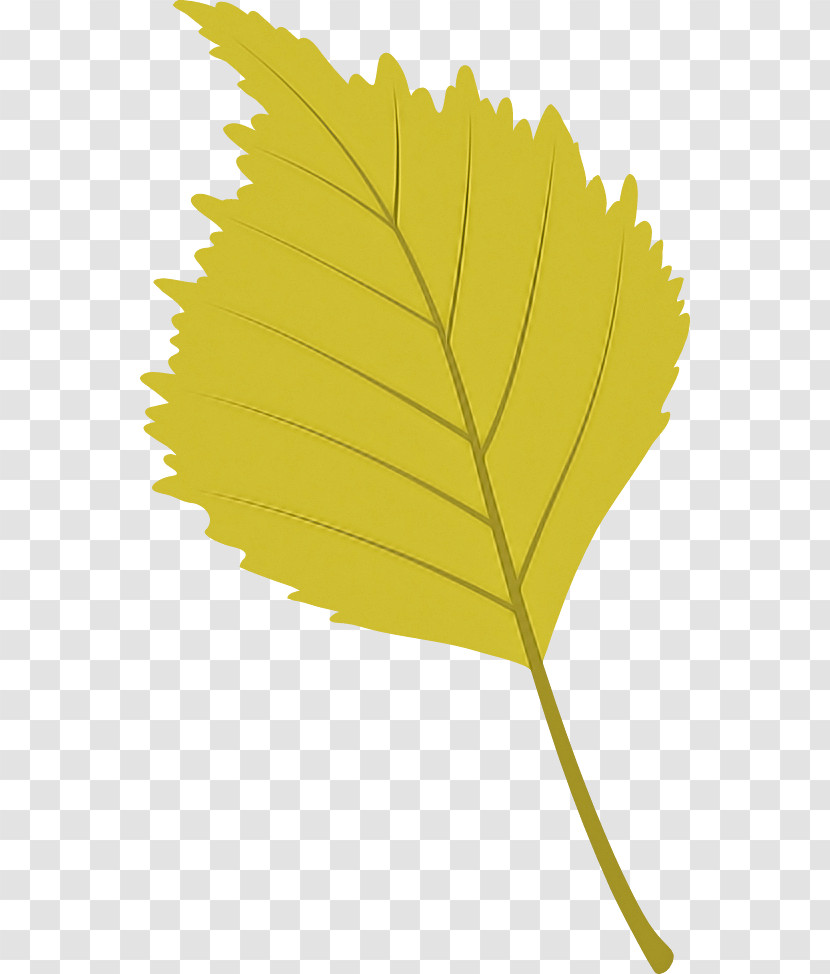 Leaf Plant Stem Flower Yellow Tree Transparent PNG
