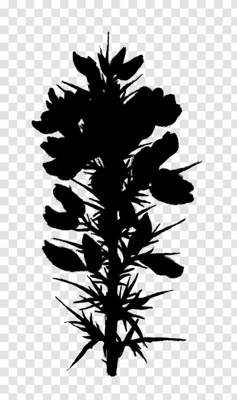 Flower Plant Stem Leaf Pine Font - Flowering Transparent PNG