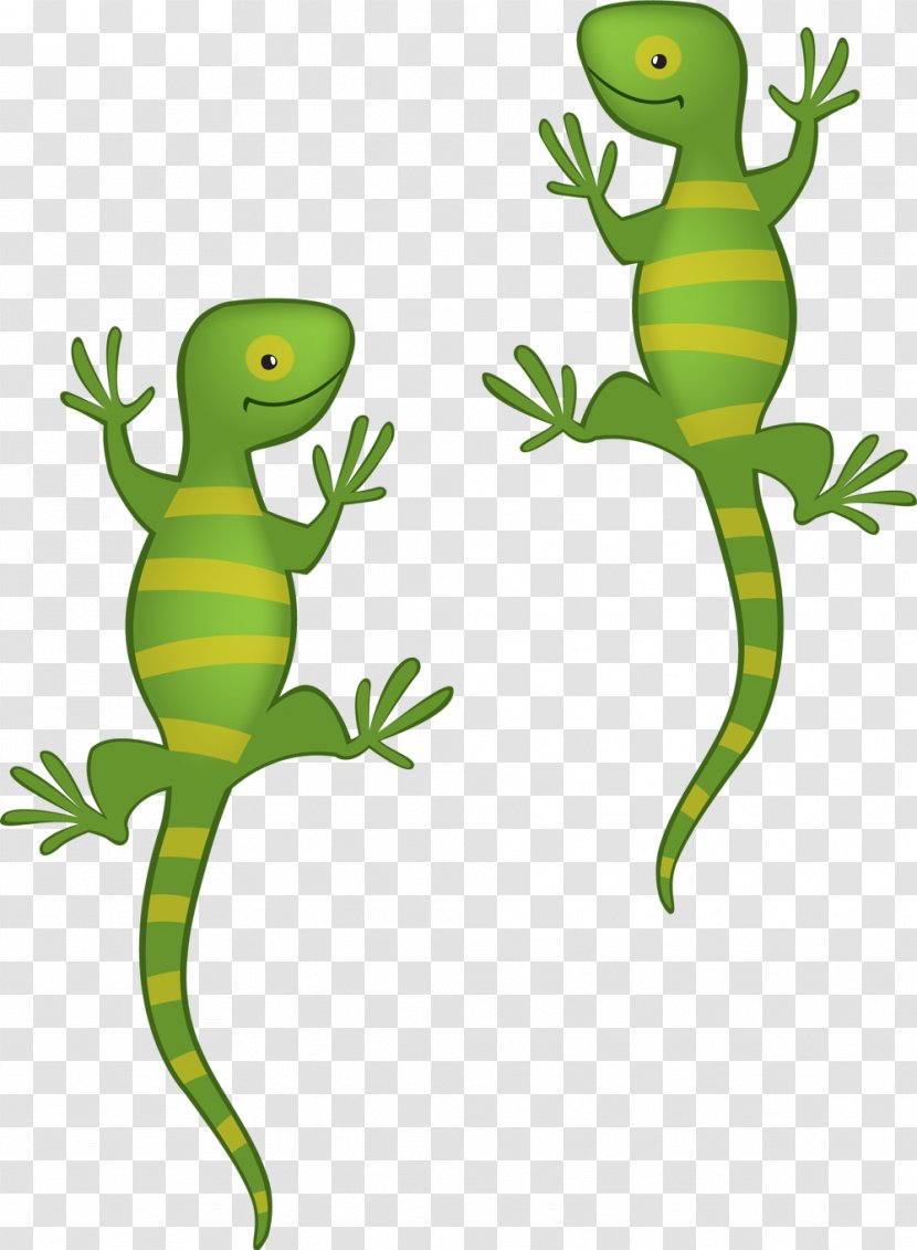 Lizard Green Iguana Child Animaatio Drawing - Organism Transparent PNG