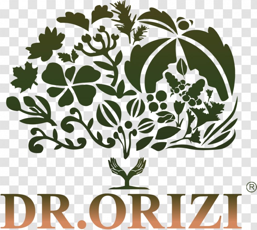 Dr. Orizi (M) Sdn. Bhd. Rice A1 Kilang Kosmetik Making Cosmetic Jalan Menglembu Utara 2 - Flora - Doctors Team Transparent PNG