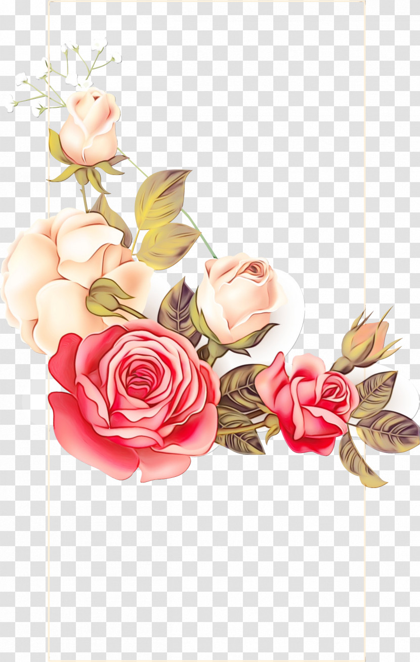 Garden Roses Transparent PNG