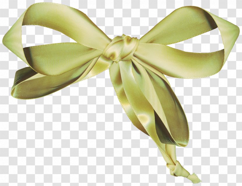Ribbon Knot Material Creativity - Green - Bow Transparent PNG