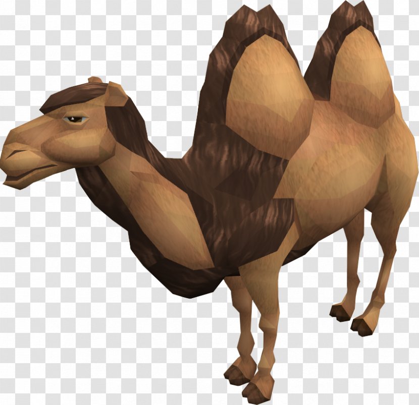 Dromedary RuneScape Bactrian Camel Wiki Horse - Url Redirection - Images Transparent PNG