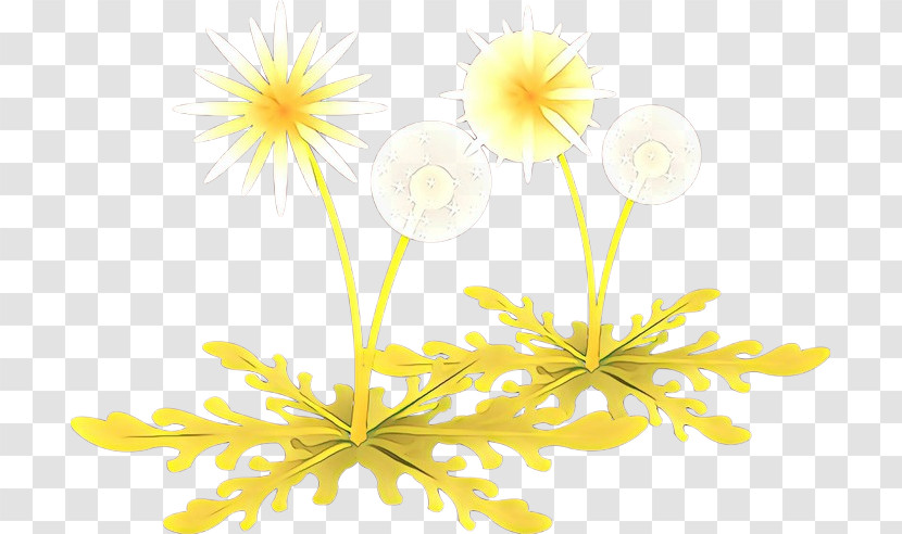 Yellow Flower Plant Petal Wildflower Transparent PNG
