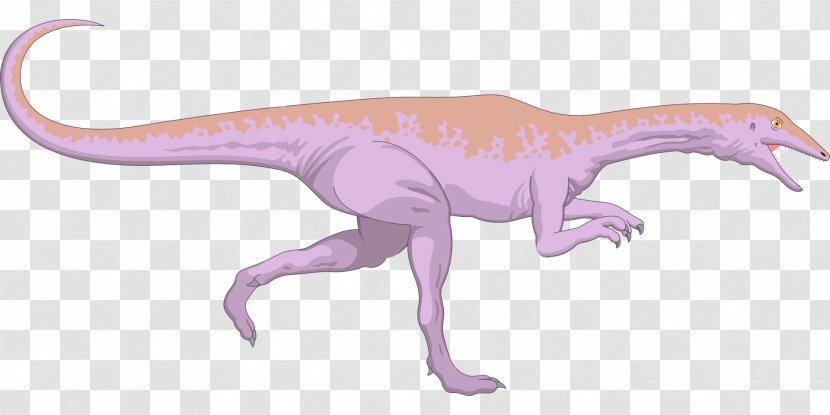 Compsognathus Dinosaur Velociraptor - Terrestrial Animal Transparent PNG