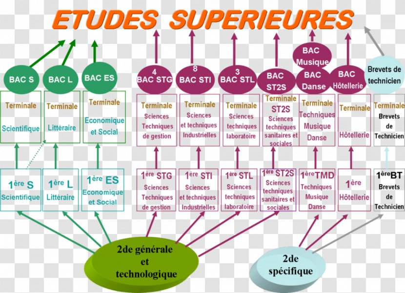 Après Le Bac S: Bien Choisir Pour Réussir Seconde Générale Et Technologique Career Counseling Baccalauréat - School - Employe Transparent PNG