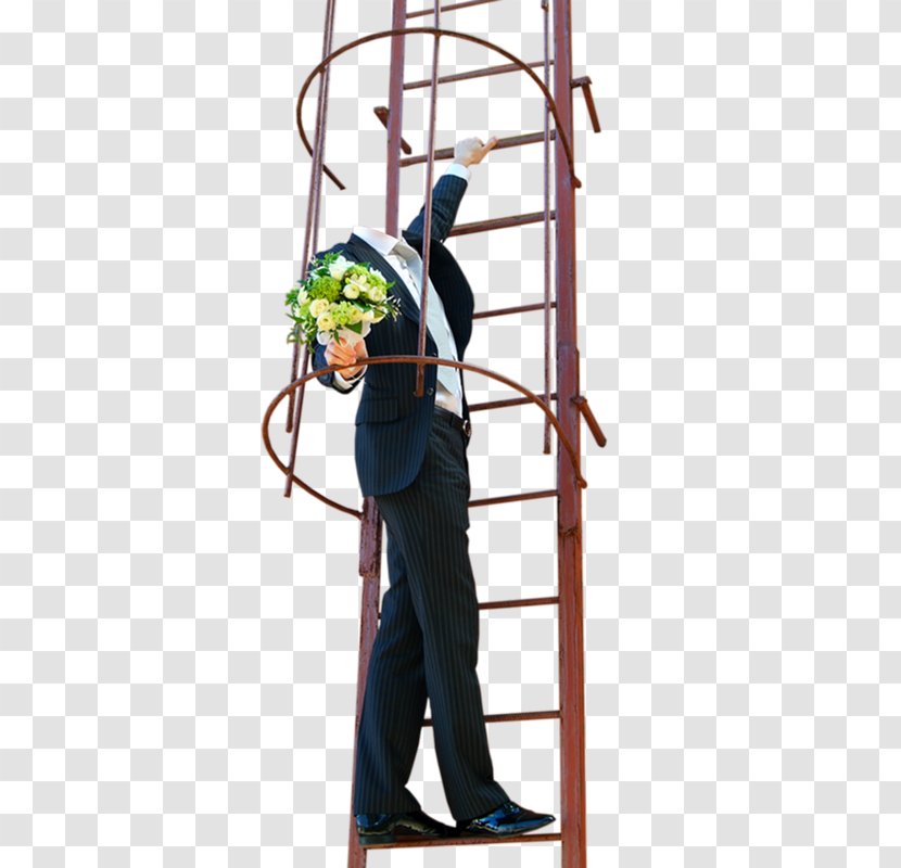 Ladder Tree - Alleycat Race Transparent PNG