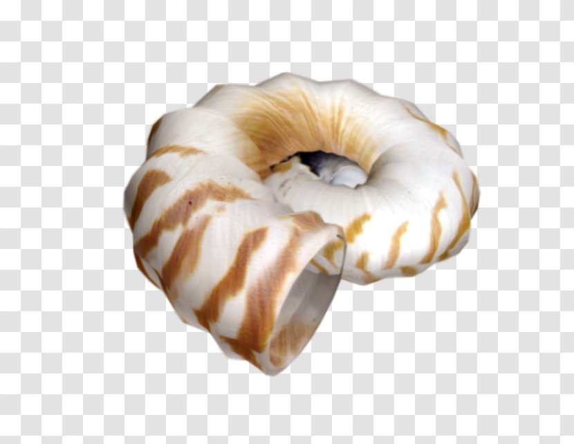 Donuts Mediterranean Sea Alphabet Clip Art - Danish Pastry - Bagel Transparent PNG