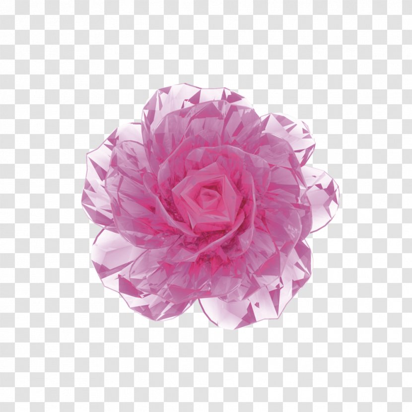 Face 3D Computer Graphics Cream Flower - Rosa Centifolia - Flowers Transparent PNG