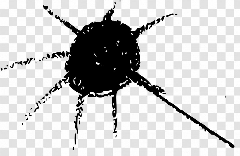 Beetle Line Pest White Font - Black And - Spider Web Transparent PNG