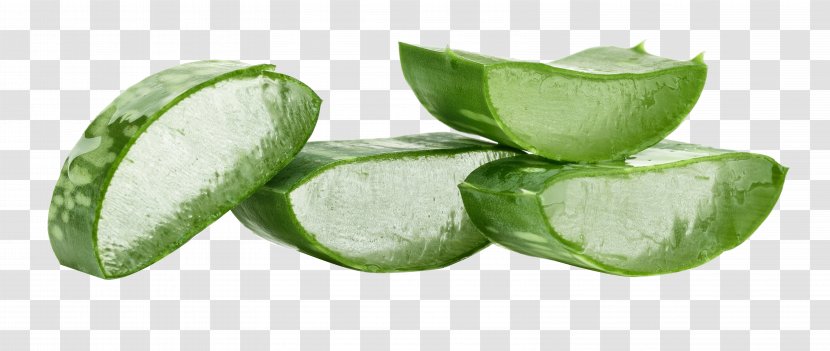 Aloe Vera Plant Wound Organism Green - Face Transparent PNG