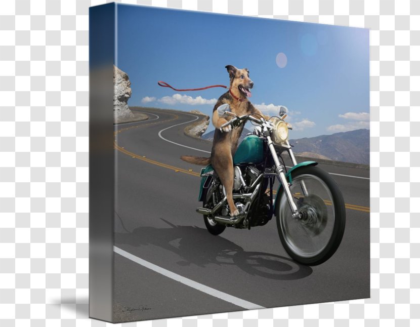 Motorcycle Accessories Motor Vehicle German Shepherd Transparent PNG