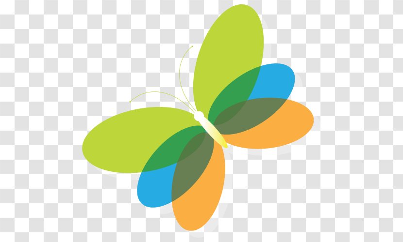 Cartoon - Leaf - Butterfly Transparent PNG