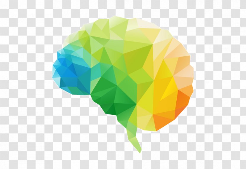 Human Brain Polygon Lateralization Of Function Transparent PNG