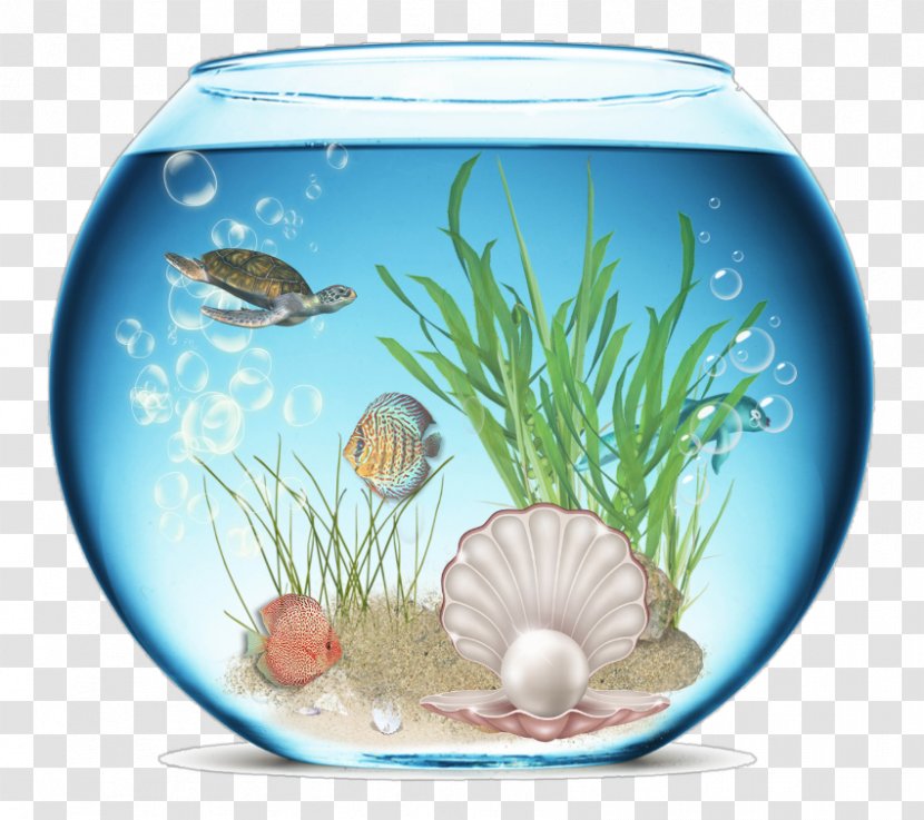 Aquarium Icon - Fish - Tank Scenery Material Map Transparent PNG