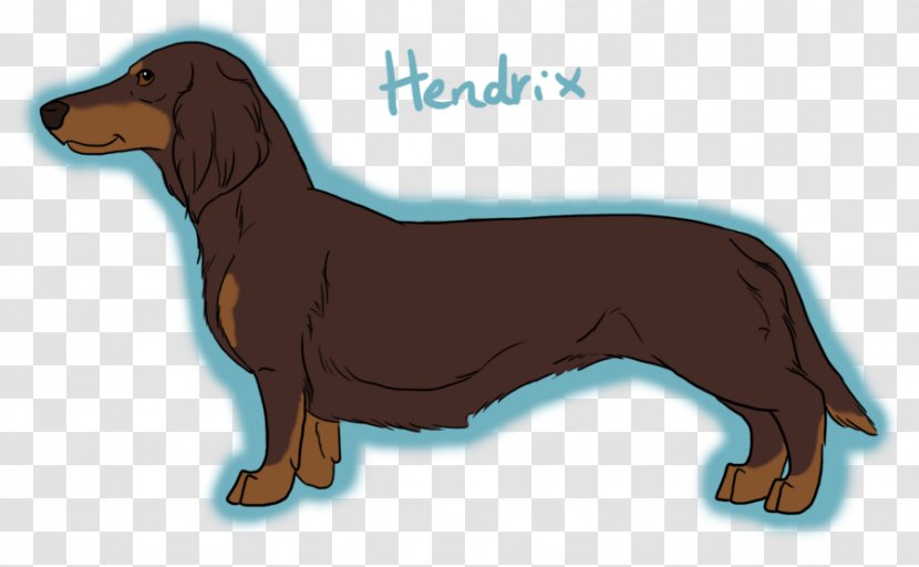 Dachshund Puppy Dog Breed Hound - Miniature Long Hair Dachshunds Personality Transparent PNG