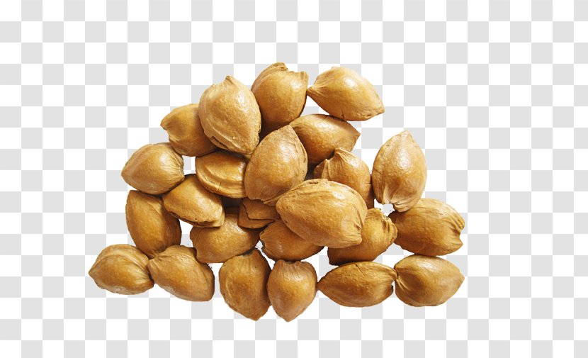 Hazelnut Apricot Kernel Oil Glycerol - Commodity - Almond Pictures Transparent PNG