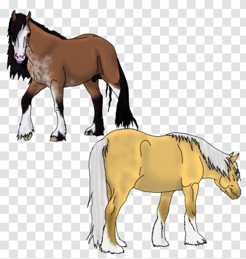 Mule Foal Stallion Mare Colt - Horse Harnesses - Mustang Transparent PNG