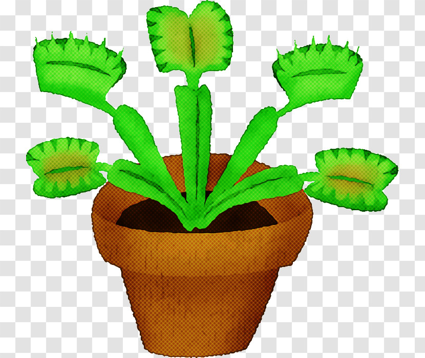 Plant Stem Flowerpot Citroën Cactus M Plants Biology Transparent PNG