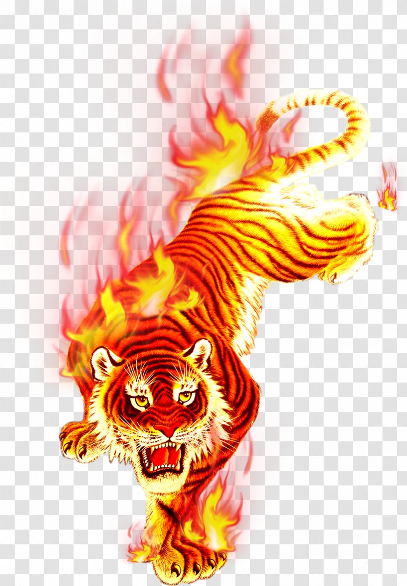Tiger Flame Fire Transparent PNG