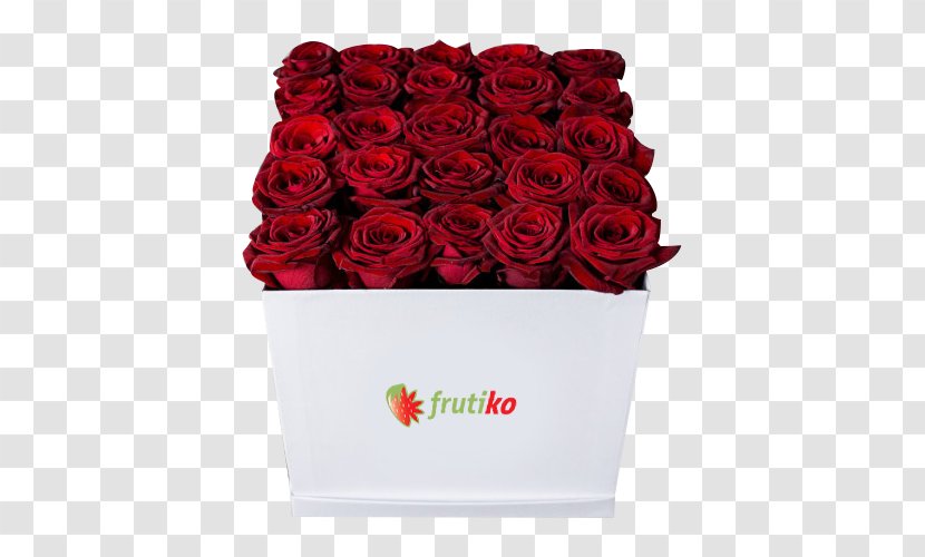 Garden Roses Cut Flowers Frutiko.cz Cardboard Box - Rose Transparent PNG