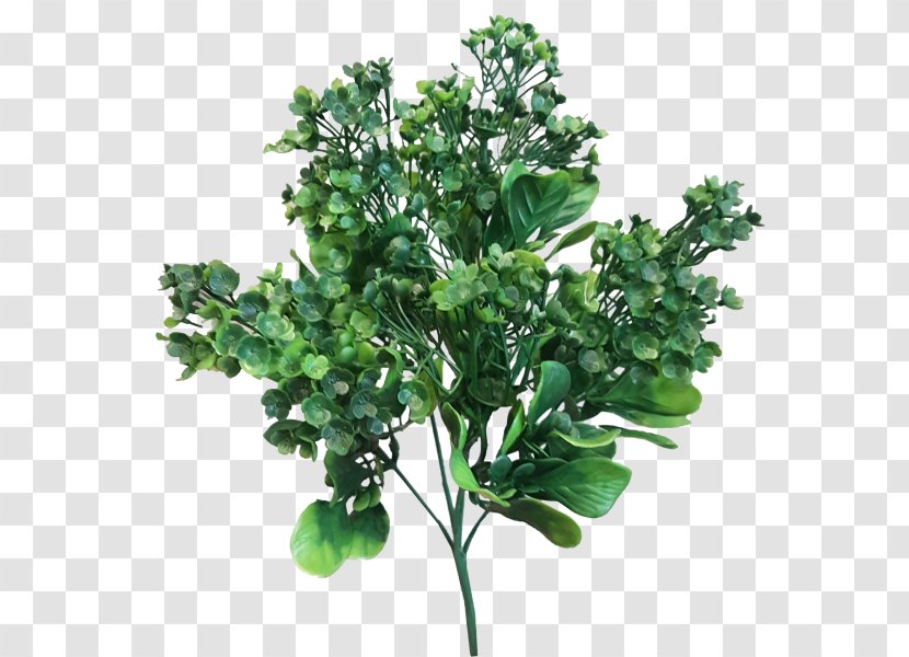 Leaf Branch Shrub Plant Stem Swiss Cheese - Green Faux Berry Transparent PNG