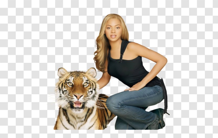 Beyoncé Tiger Cat Human Behavior Fur - Heart - Beyonce Transparent PNG