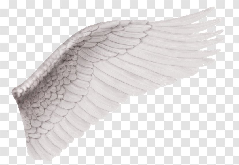 Angel Clip Art - Ink - Wings Material Transparent PNG