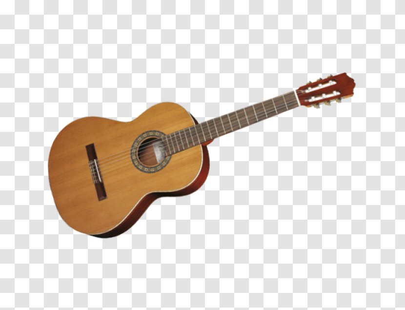 Classical Guitar Acoustic Musical Instruments Acoustic-electric - Cartoon Transparent PNG