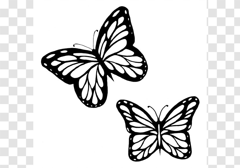 Monarch Butterfly Outline Drawing Clip Art - Coloring Book - Butterflies Black And White Transparent PNG