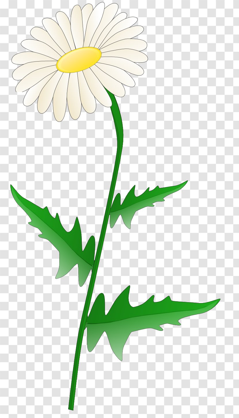 Clip Art - Leaf - Daisys Transparent PNG