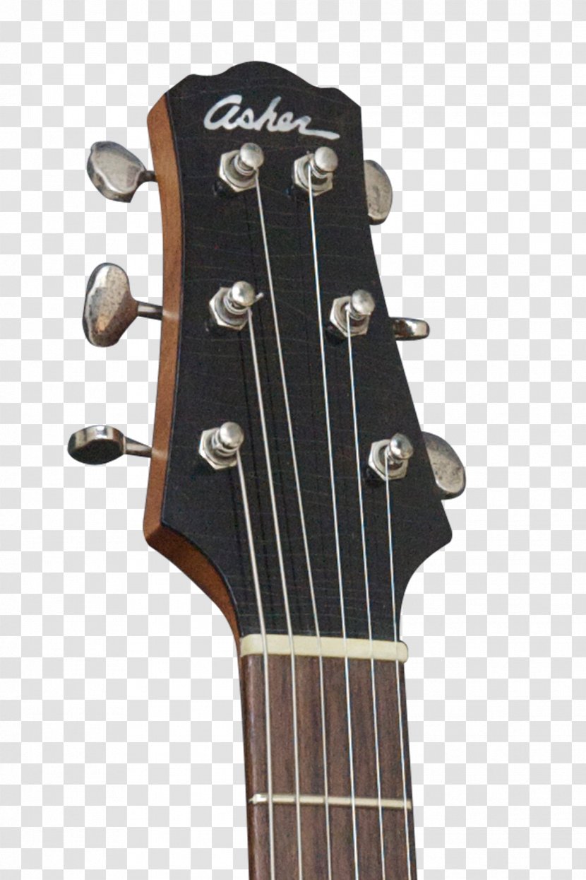 Acoustic Guitar Acoustic-electric Bass - Tree Transparent PNG