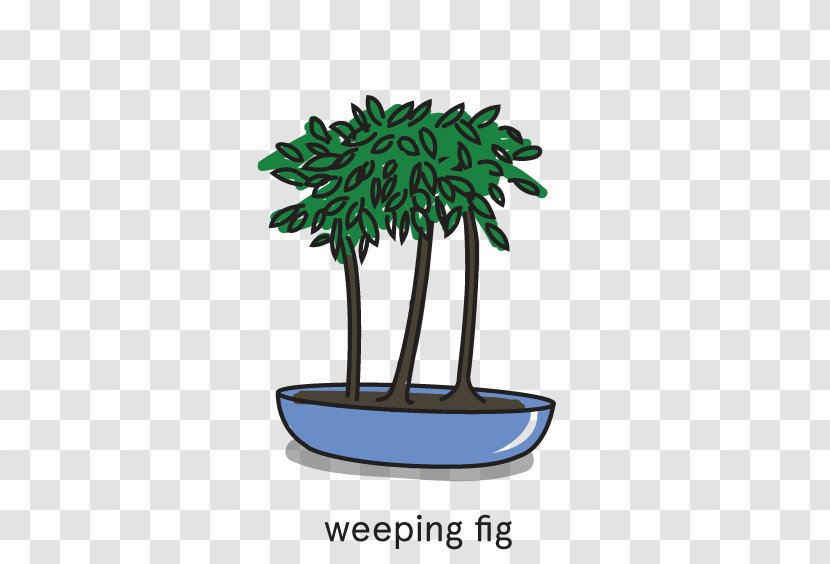 Tree Flowerpot Bonsai - Grass Transparent PNG