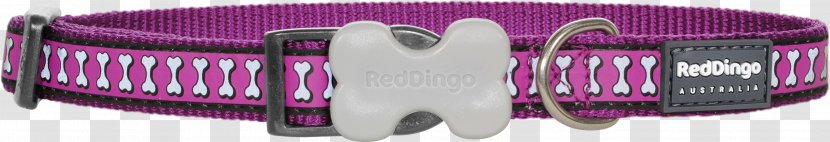 Dog Dingo Puppy Pet Tag Collar - Brand - Red Transparent PNG