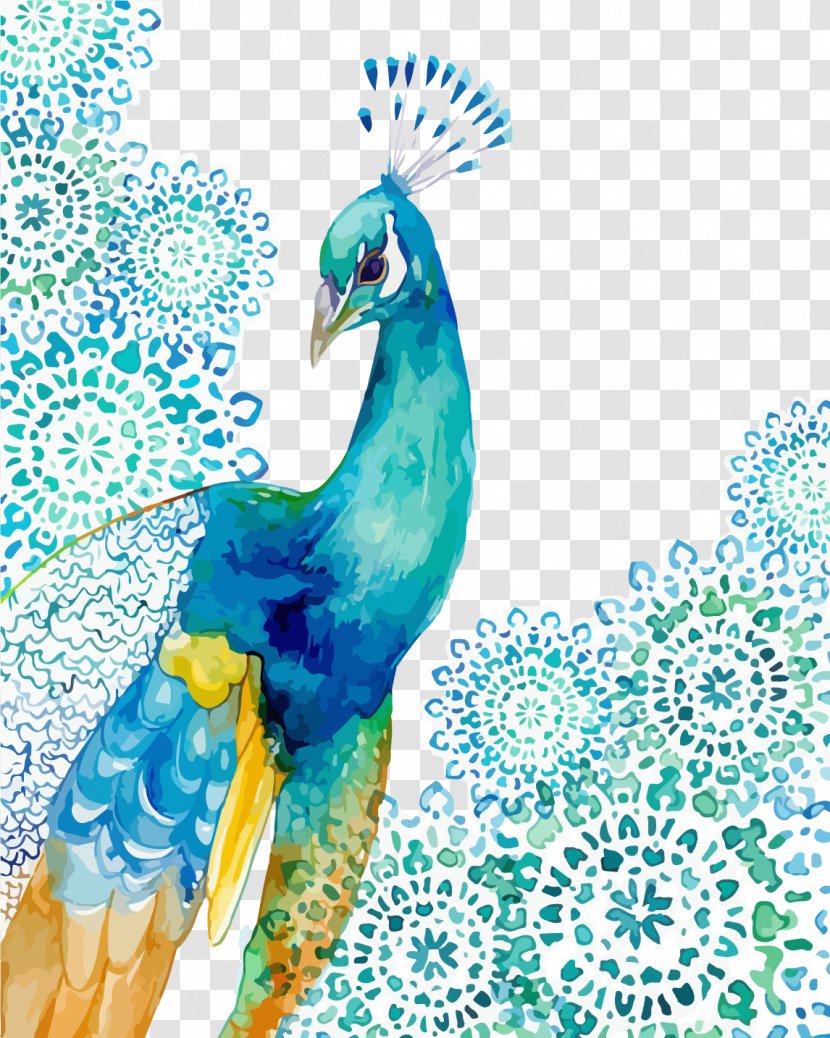Peafowl Watercolor Painting Drawing Feather - Pretty Peacock Transparent PNG