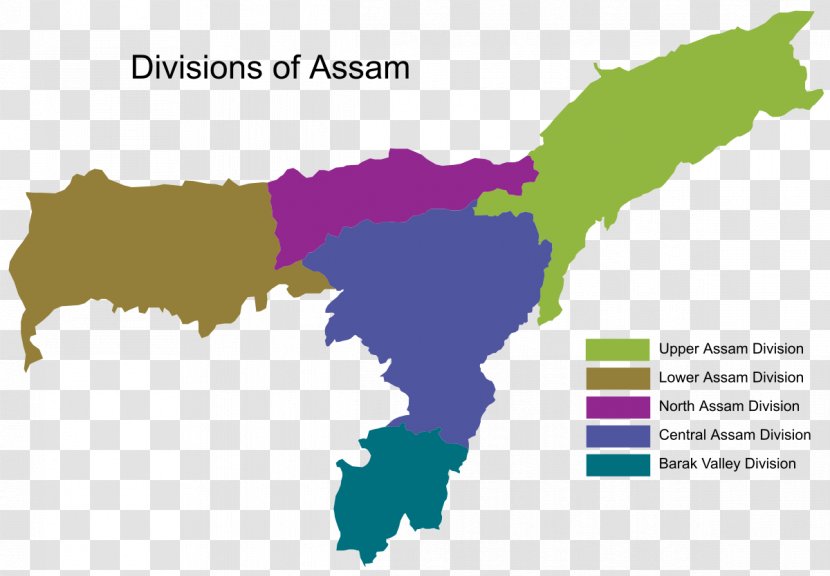 Assam Vector Graphics Stock Photography Royalty-free Illustration - India - Ecoregion Transparent PNG